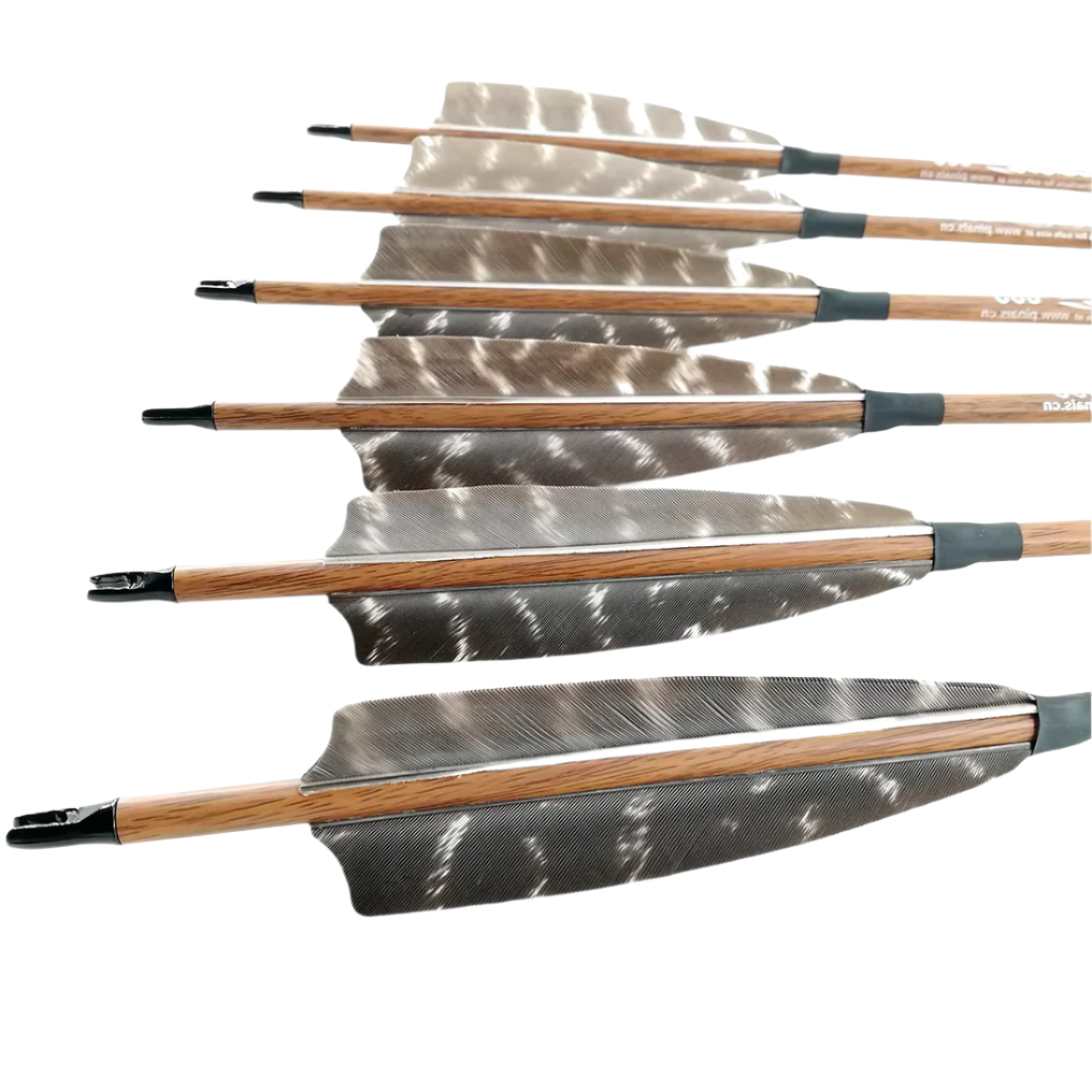 Flechas Fibra de Carbon, 6.2mm, Pluma Natural