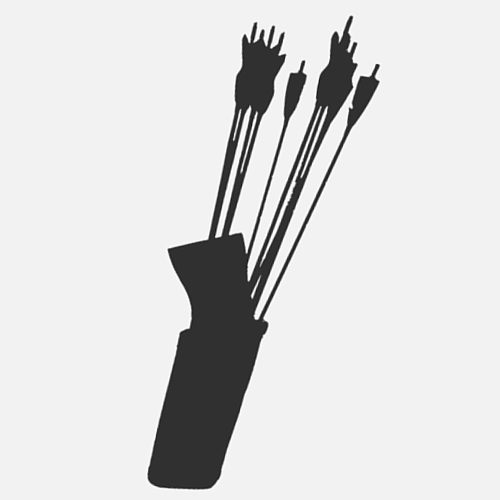 Quivers
