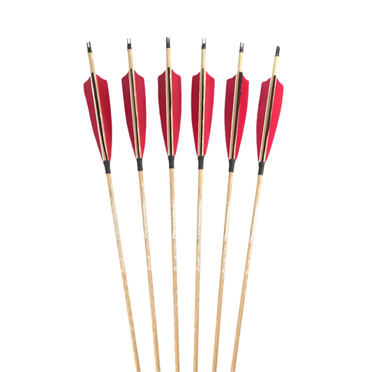 Flechas Fibra de Carbon, 6.2mm, Pluma Natural