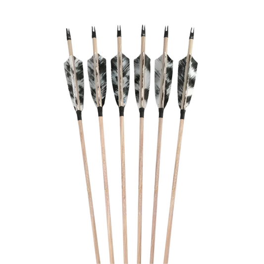 Flechas Fibra de Carbon, 6.2mm, Pluma Natural