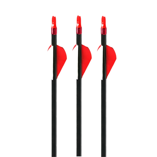 Flechas Fibra de Carbon, 6.2mm, Pluma Plástica
