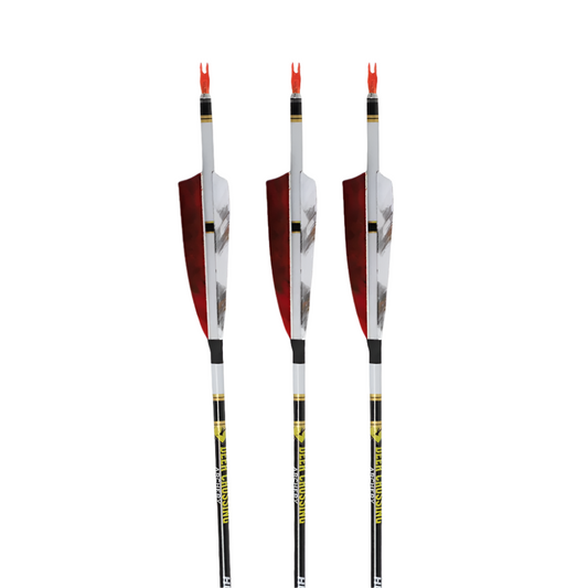 Flechas Fibra de Carbon, 6.2mm, Pluma Natural