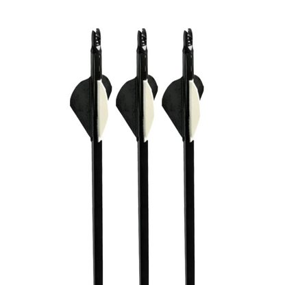 Flechas Fibra de Carbon, 6.2mm, Pluma Plástica