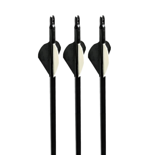Flechas Fibra de Carbon, 6.2mm, Pluma Plástica