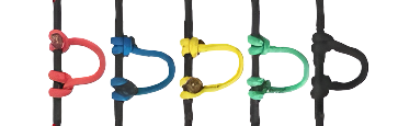 D-Loop