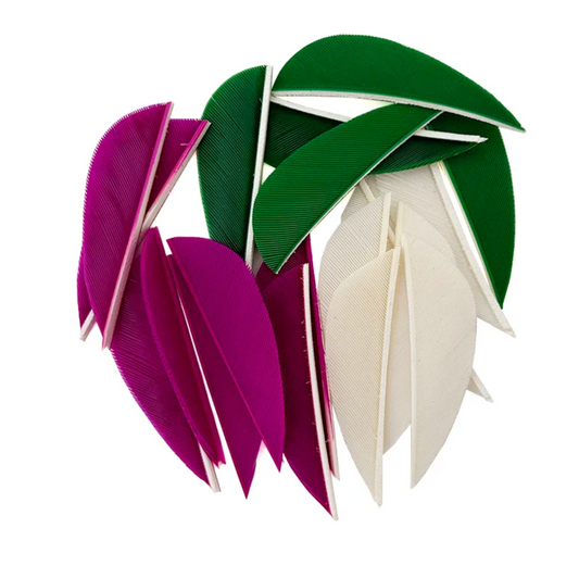 Pluma Natural 2" Corte Parabólico 50pzas