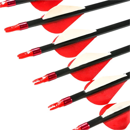 Flechas Fibra de Carbon, 6.2mm, Pluma Plástica
