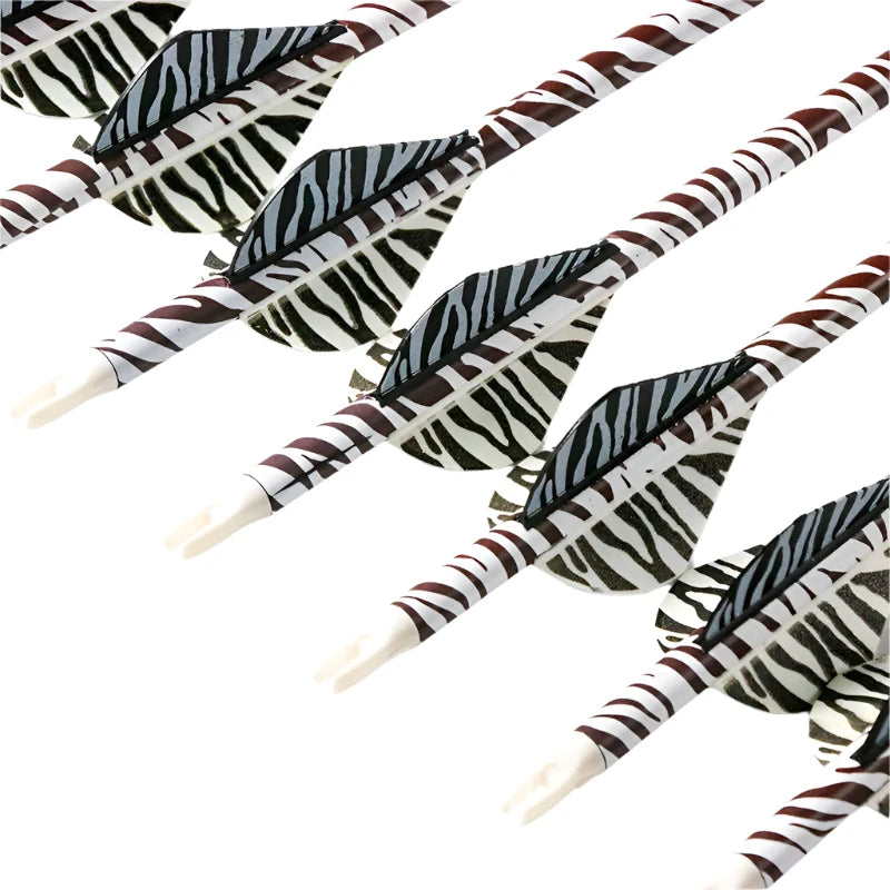 Flechas Fibra de Carbon, 6.2mm, Pluma Plástica