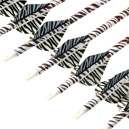 Flechas Fibra de Carbon, 6.2mm, Pluma Plástica