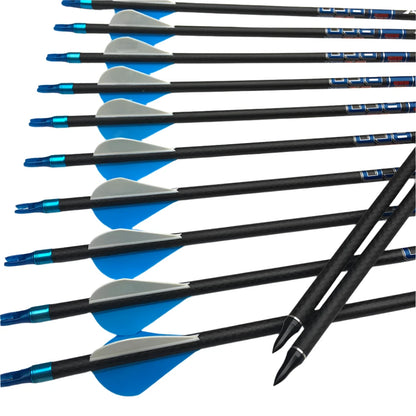 Flechas Fibra de Carbon, 6.2mm, Pluma Plástica
